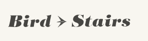bird stairs_grayscale